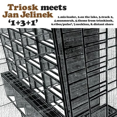 1+3+1 by Triosk Meets Jan Jelinek